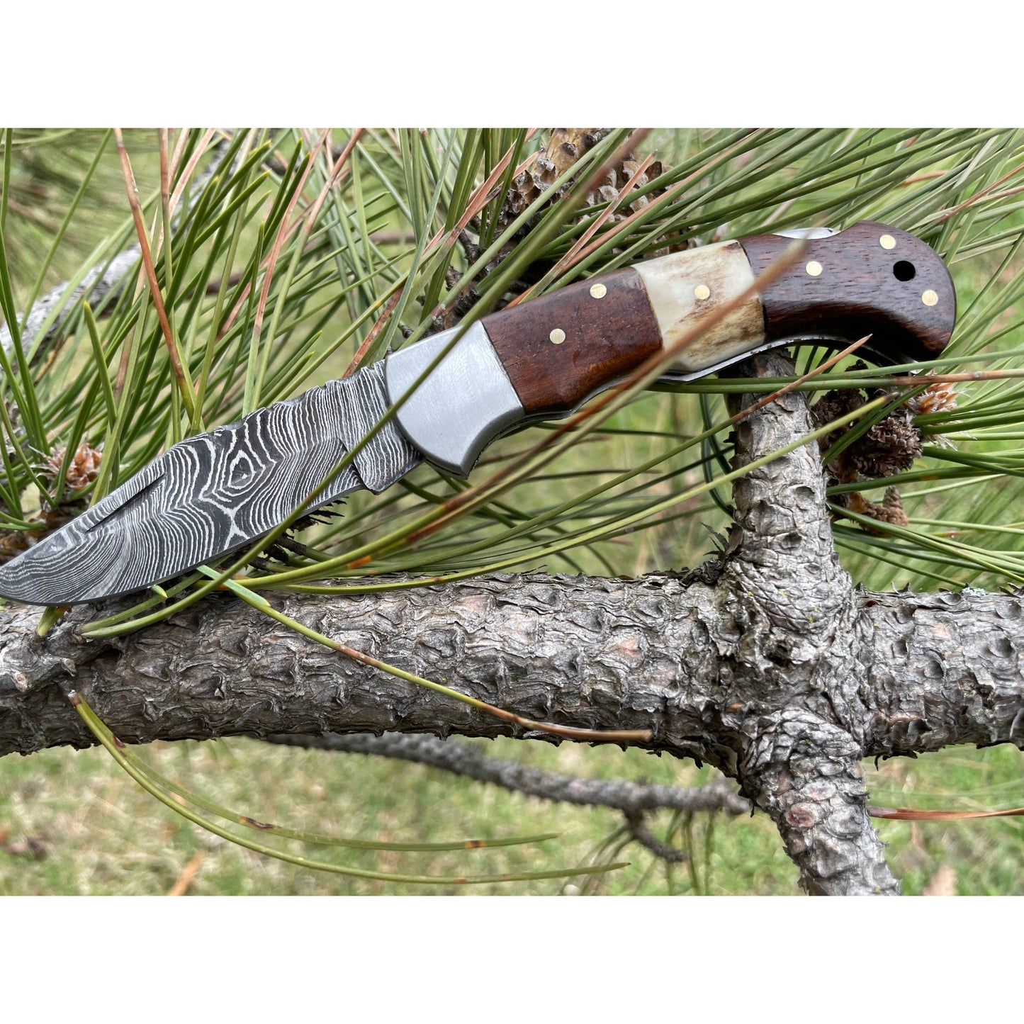 POCKET KNIFE WALNUT WOOD & STAG 6.5'' DAMASCUS STEEL