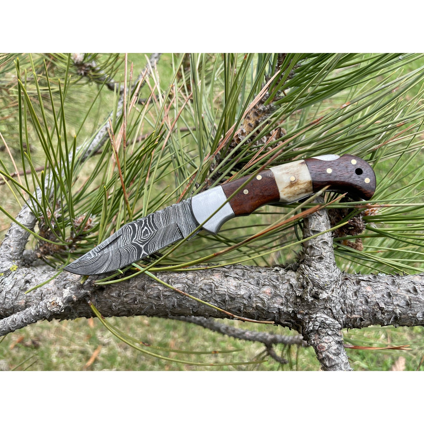 POCKET KNIFE WALNUT WOOD & STAG 6.5'' DAMASCUS STEEL