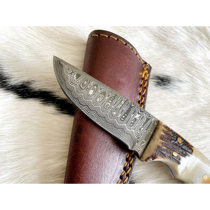 Damascus Steel Burnt bone & Walnut Hunting Knife