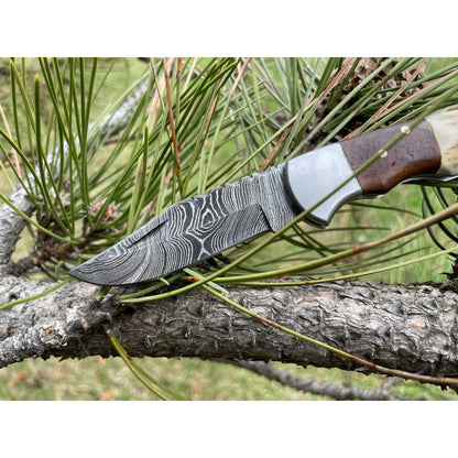 POCKET KNIFE WALNUT WOOD & STAG 6.5'' DAMASCUS STEEL