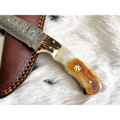 Damascus Steel Burnt bone & Walnut Hunting Knife