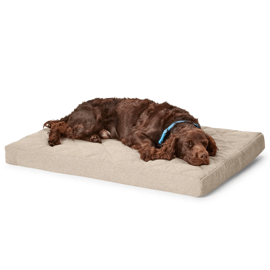 Orvis Memory Foam Platform Dog Bed - khaki